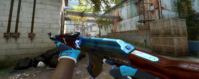 获得了发展 获得了发展